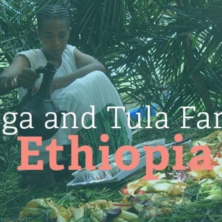 Limu coffee Ethiopië